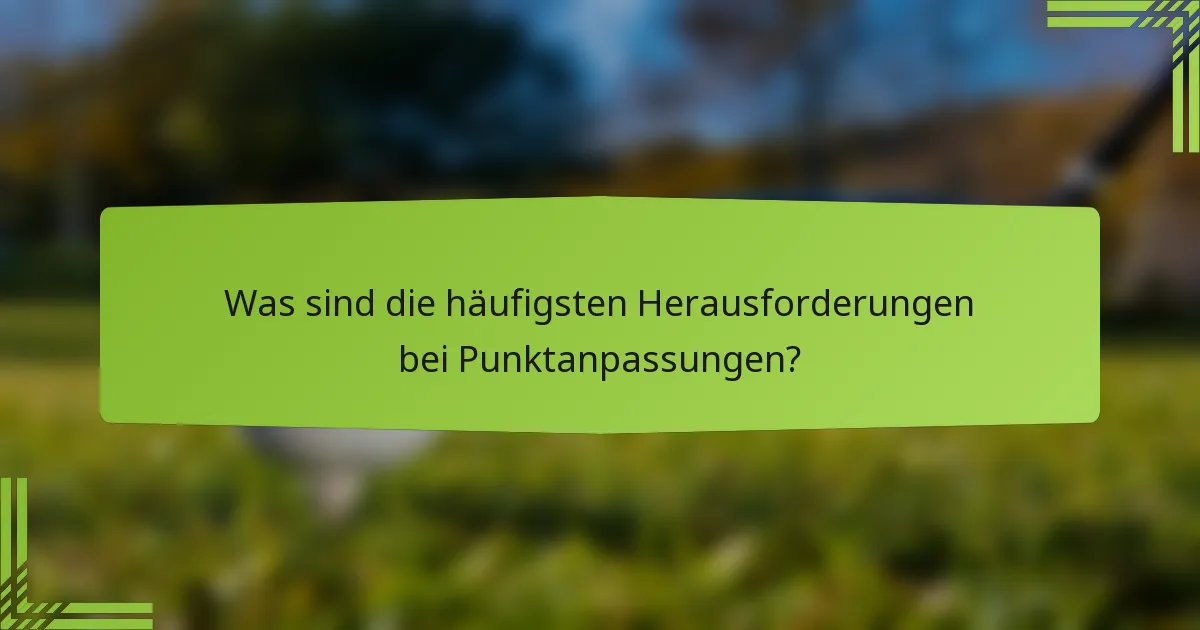 Was sind die häufigsten Herausforderungen bei Punktanpassungen?